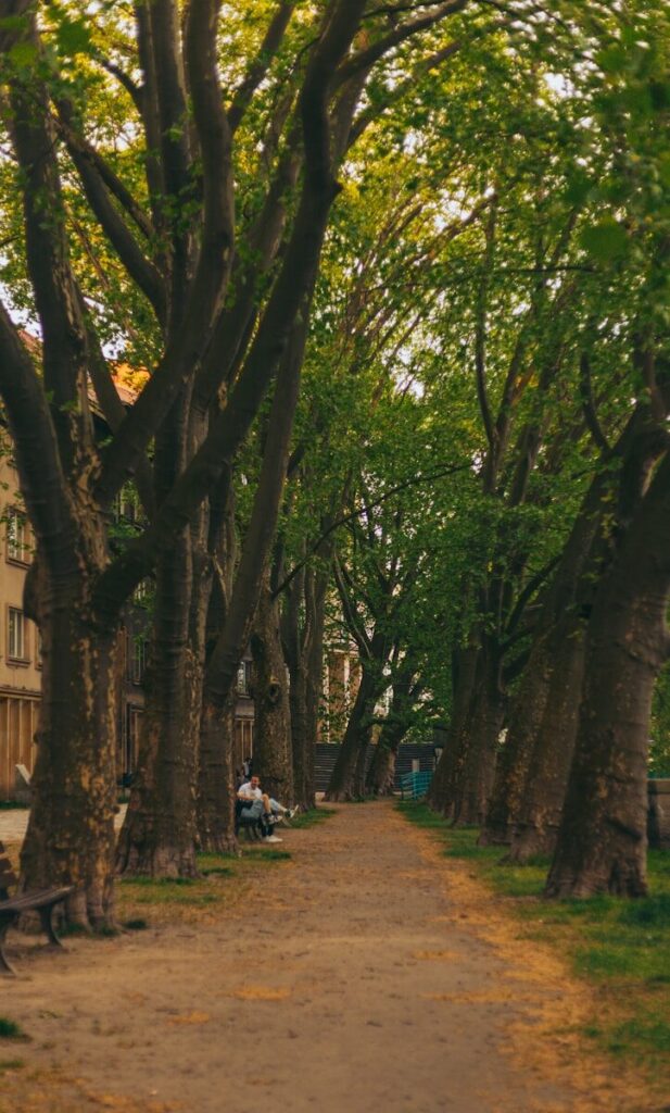 Persönliche Assistenz in Bochum - Sozialwerke Rhein-Ruhr